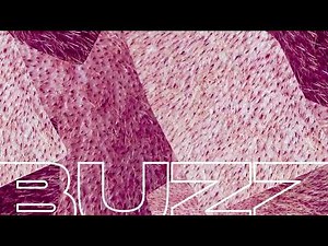 COMANAVAGO - Buzz [Ultra Records]