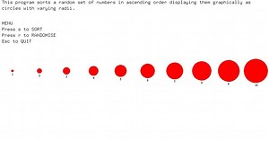 Dynamic Sorting Algorithm Visualizer : Computer Graphics Project
