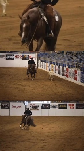 2026 Breeding Fee will be $1500 ➡️ 𝗚𝗘𝗧 𝗬𝗢𝗨𝗥 𝗖𝗢𝗡𝗧𝗥𝗔𝗖𝗧 𝗪𝗛𝗜𝗟𝗘 𝗧𝗛𝗘𝗬 𝗟𝗔𝗦𝗧! • • • #tinman #stallion #horseshorseshorses #2m | Tin Man