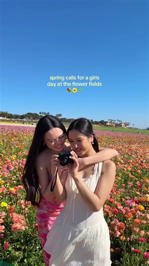 Experience the Magic of Carlsbad Flower Fields This Spring