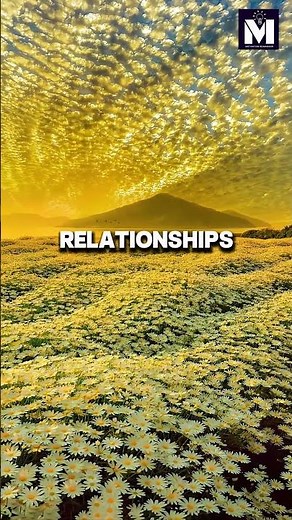 4 Life Lessons That Will Change Your Life Forever | Motivational Video #lifelessons