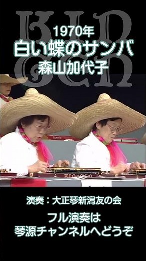 【大正琴】白い蝶のサンバ 森山加代子 #shortsvideo #shorts #short #琴源#大正琴新潟友の会 #大正琴 #白い蝶のサンバ#森山加代子#阿久悠#music
