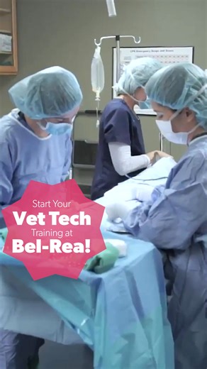 Bel-Rea is the perfect place to start your journey to become a hero...