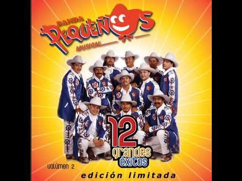 Banda Pequeños Musical Para No Llorar/Te Extraño