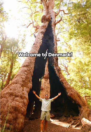 Discover Denmark in Western Australia: Nature and Adventure