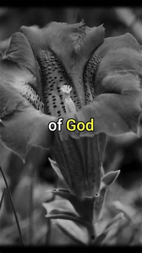 Surrender or Give Up? | Swami Sivananda