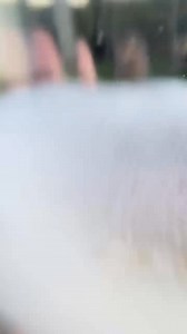 62K views · 492 reactions | It’s COOL to #cry!!! If you catch yourself or someone else crying at the last story in my new #netflix special #LUCKY, post and tag me!!! I love you all thank you for watching!! | Bert Kreischer | Facebook