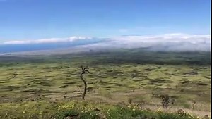 82 reactions · 5 comments | We're so happy to see the green, green grass of home returning to Parker Ranch after the fire. This was taken from our pipeline road around 7000' elevation, showing our Makahalau and Kemole and Waiki'i paddocks. Mahalo to A. Levitt for sharing this video! | Parker Ranch, Inc. | Facebook