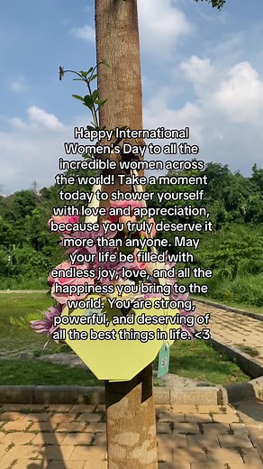 Indonesia Model United Nations on TikTok