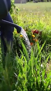 How to Make Everything: Gardening | How To Make Everything | Facebook