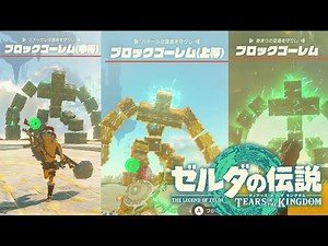 【ゼルダ ティアキン】ブロックゴーレム討伐 空島 ゼルダの伝説 ティアーズオブザキングダム The Legend of Zelda: Tears of the Kingdom