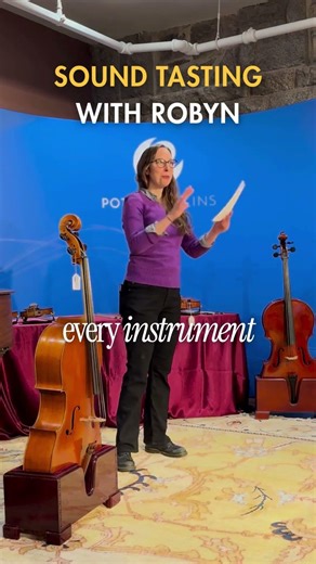 Understanding the sound of a violin