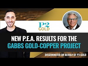 One Top Gold Exploration and Development Stock To Watch Now? P2 Gold Update (TSXV:PGLD)