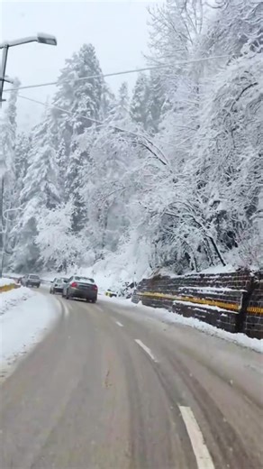 Beautiful Snowfall Scenes in Murree and Galiyat Region