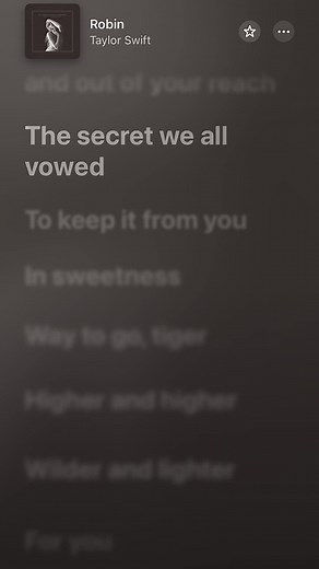 Robin - Taylor Swift Lyrics and Music Video