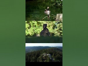 Nature Recapped science space ai physics astronomy biology chemistry discoveries