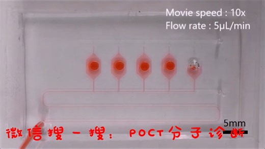 一种片式多重核酸检测微流控芯片