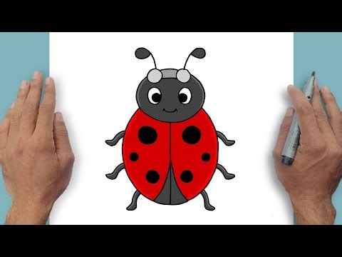 How to Draw Lady Bug Easy Step-by-step | Drawing Tutorial