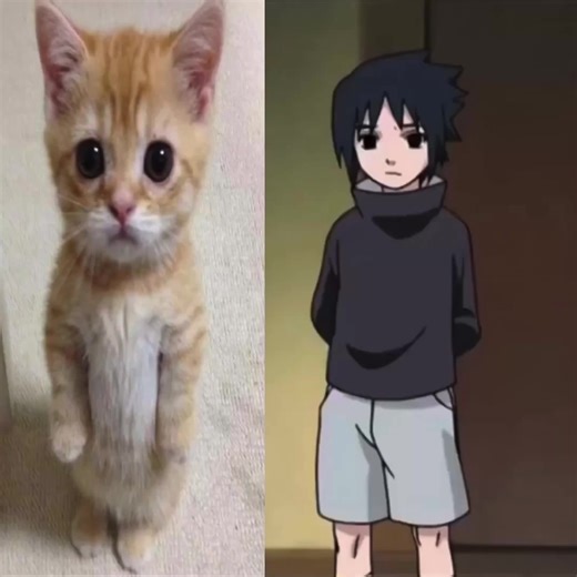 Baby sasuke #sasuke #sasukeuchiha #naruto #fyp | Sasuke Uchiha