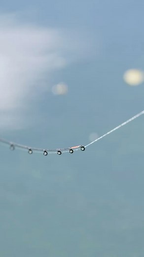 ACTION !! #tackleguru #feeder #methodfeeder #feederfishing #commercialfishing | Tackle Guru France