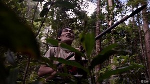 Malaysia's Indigenous Penan struggle against deforestation