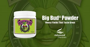 Big Bud® Powder | Bloom Booster | Advanced Nutrients
