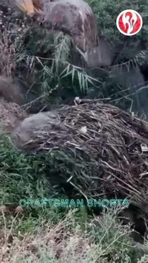 Excavator | Excavator digging a blocked ditch