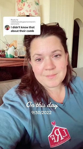 5.7K views · 123 reactions | Chicken Comb Color: Here’s what the comb color on your chicken can tell you #homestead #chickenkeeping #chickenmama #egglayers #molt #onthisday | The Little Red Farm | Facebook