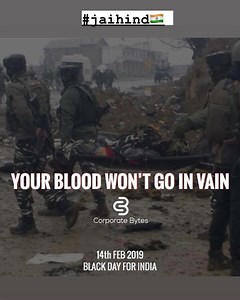 ALSTONE SANITARYWARE on Reels