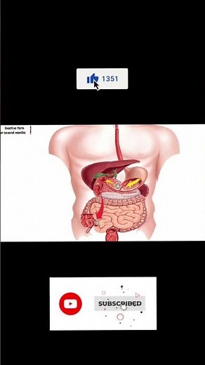 Amebiasis - Pharmacology