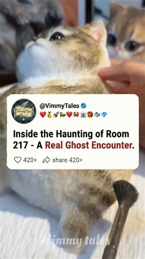 Inside Room 217: The Haunted History of the Stanley Hotel