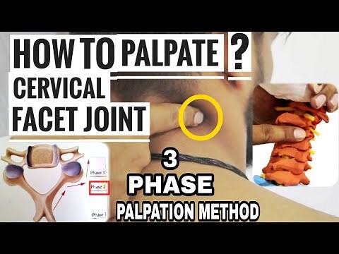 CERVICAL FACET JOINTS PALPATION TECHNIQUE (3-PHASE METHOD)