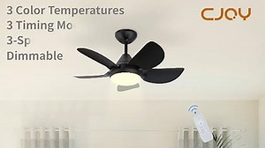 30 inch ceiling fan with light 5 blades black