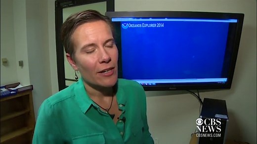 Mystery sunken ships discovered