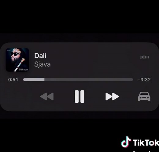 Exploring Sjava and Dali's Musical Collaboration | Muziqza