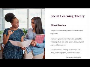 Lession 4: Learning in Organizational Behavior