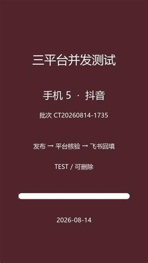并发测试-手机5 #系统测试 #并发发布 #数据回传