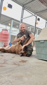 1.1K views · 58 reactions | Today Michalis and Peanut are asking...