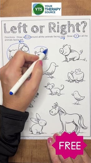 Directionality Worksheet Left Right Freebie