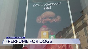 Dolce & Gabbana launches perfume for dogs