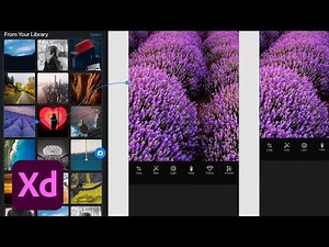 Adobe XD Daily Creative Challenge - Welcome! | Adobe Creative Cloud