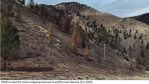 Governor Little introduces wildfire plans for the state - Local News 8