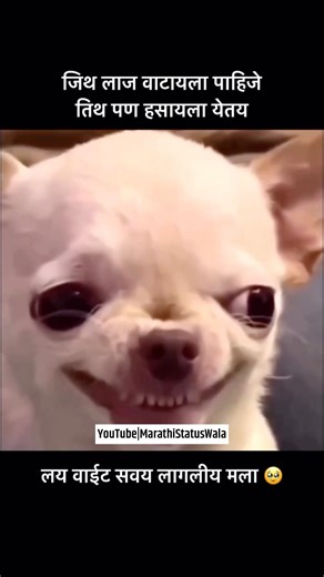 Marathi Meme | Comedy Shorts | #marathimeme #viralreels #memesdaily #shortsfeed #ytshorts