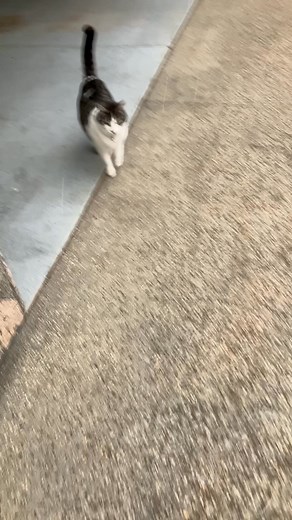 Sherice Clarke on Reels