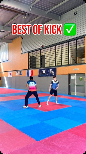 224 reactions · 21 shares | The Lab 良離: Tips and techniques to your leg work and training!  Ready to level up? Follow for more exclusive content! ✅ #taekwondo #thelab #tutorial #tkd #tips #learning #reels #reelsvideo #kick #follower #usa #india #indonesia #malaysia #stepbystep | Dylan Chellamootoo | Facebook