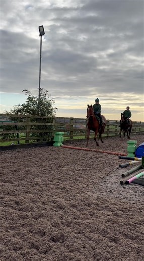 29K views · 1.5K reactions | The boys are back in action & learning to pop some poles, all part of their education - Tommy is giving the youngsters a lead - Albert, Boris, Chico & George  | Philip Kirby Racing | Facebook