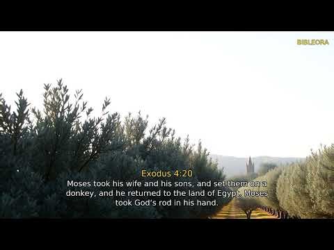 Exodus 4 | The Book of Exodus - Complete Chapter