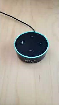 #Alexa, Self Destruct