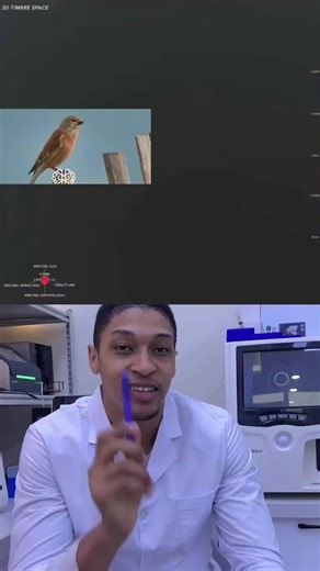 It’s not magic, it’s science—spectrogram analysis and AI algorithms are finally opening the door to truly understanding animal language.#FutureTech #AI #animalbehavior #pettichat #pettranslator