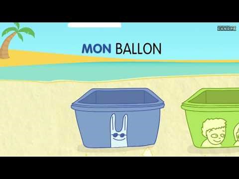 les determinants possessifs